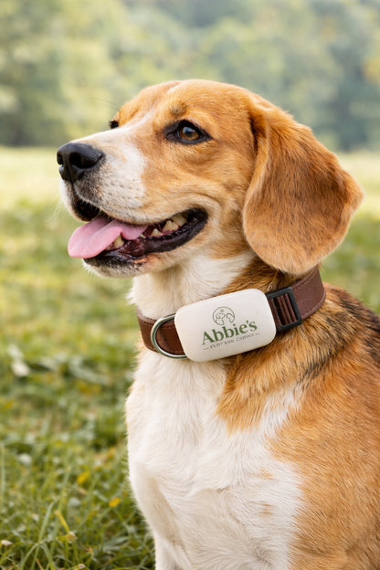 Abbie’s Pets and Exotics Pet GPS Tracker – Smart Tracking Device for Dogs & Cats